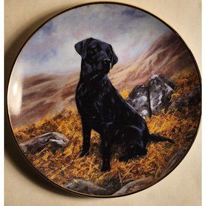 Black Labrador Collector Plate